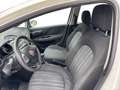 Fiat Punto Evo Punto Evo 5p 1.2 Dynamic s&s Bianco - thumbnail 12