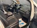 Ford EcoSport 1,5 Ti-VCT Titanium*AUT* NAVI*KAMERA* Weiß - thumbnail 11