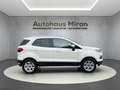 Ford EcoSport 1,5 Ti-VCT Titanium*AUT* NAVI*KAMERA* Weiß - thumbnail 8