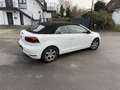 Volkswagen Golf Cabriolet Golf Cabrio 1.4 TSI - thumbnail 6