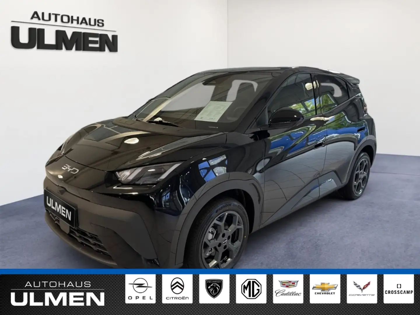 BYD Dolphin 115KW Comfort Leder Navi Sitzheizung DAB+ Soundsys Schwarz - 2