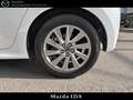 Mazda 2 1.5 Hybrid 116ch Select Weiß - thumbnail 18