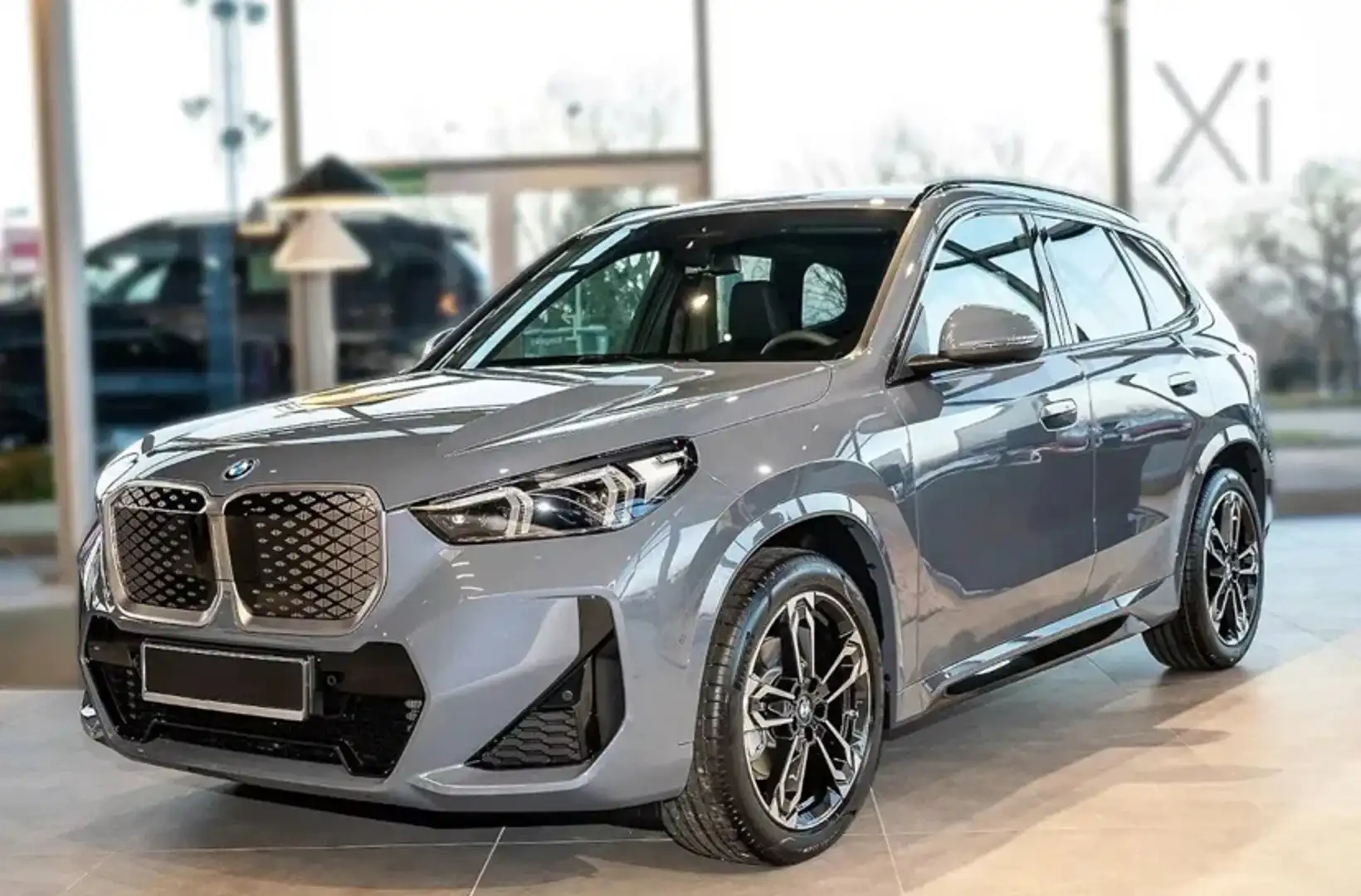 BMW iX1 iX1 eDrive20 66,5kWh Grau - 1