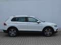 Volkswagen Tiguan 1.4 TSI eHybrid 245 PS DSG Elegance AHK/19-ZOLL/I Weiß - thumbnail 18