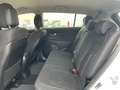 Kia Sportage Sportage 1.7 CRDi 115 ISG 2WD Active Blanc - thumbnail 10