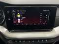 Skoda Octavia Combi 2,0 TDI Premium DSG.Matrix LED/ACC/Navi/H... Gris - thumbnail 22