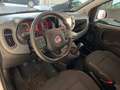 Fiat Panda Panda 1.0 firefly hybrid Cross - soli 15.900km Alb - thumbnail 4