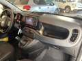 Fiat Panda Panda 1.0 firefly hybrid Cross - soli 15.900km Alb - thumbnail 3