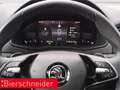 Skoda Karoq 1.5 TSI DSG Selection LED PDC KLIMAAUT Grau - thumbnail 14