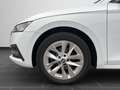 Skoda Octavia Combi 1.5 TSI ACT Style OPF Weiß - thumbnail 8