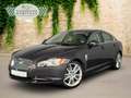 Jaguar XF 5.0 V8 Portfolio Toter-Winkel ACC Klima-Sitze Grau - thumbnail 1