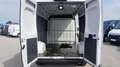 Fiat Ducato 2.3 L2H2 Aut. *Netto €26.658,-* Weiß - thumbnail 23