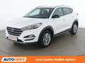 Hyundai TUCSON 1.7 CRDi Go 2WD Weiß - thumbnail 1