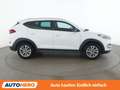 Hyundai TUCSON 1.7 CRDi Go 2WD Weiß - thumbnail 7