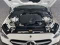 Mercedes-Benz C 200 C 200 d Mild hybrid Advanced Blanco - thumbnail 21
