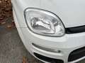 Fiat Panda 1.2 69cv E6 Easy Alb - thumbnail 17