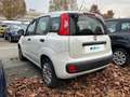 Fiat Panda 1.2 69cv E6 Easy Alb - thumbnail 3