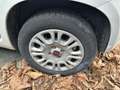 Fiat Panda 1.2 69cv E6 Easy Alb - thumbnail 7