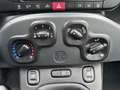 Fiat Panda 1.2 69cv E6 Easy Alb - thumbnail 14