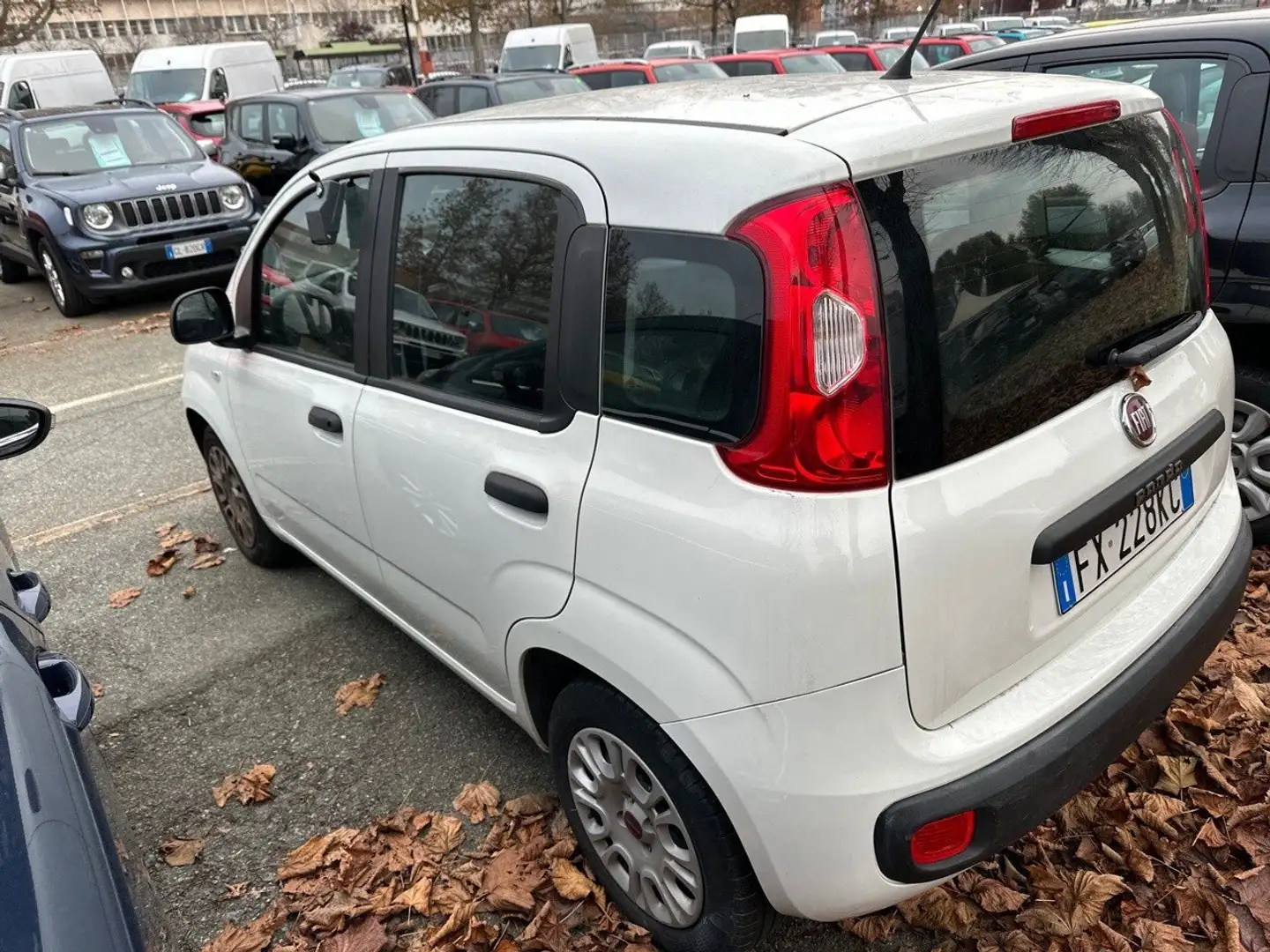 Fiat Panda 1.2 69cv E6 Easy Alb - 2