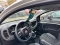 Fiat Panda 1.2 69cv E6 Easy Alb - thumbnail 8