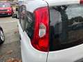 Fiat Panda 1.2 69cv E6 Easy Alb - thumbnail 18