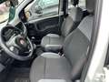 Fiat Panda 1.2 69cv E6 Easy Alb - thumbnail 9