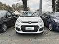 Fiat Panda 1.2 69cv E6 Easy Alb - thumbnail 6