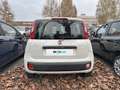 Fiat Panda 1.2 69cv E6 Easy Alb - thumbnail 4