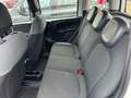 Fiat Panda 1.2 69cv E6 Easy Alb - thumbnail 10
