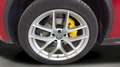 Alfa Romeo Stelvio 2.0 Executive AWD Aut. 280 Rojo - thumbnail 15
