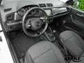 Skoda Fabia Combi Clever 1.0 TSI GRA PDC NAV LED SITZH Beyaz - thumbnail 12