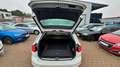 Volkswagen Passat Variant 1.8 TSI Highline/ACC/1 HAND Weiß - thumbnail 6