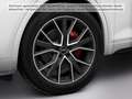 Audi Q5 45 TFSI q. S-Tronic S-Line 2x, Matrix LED, B& Weiß - thumbnail 10