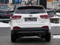 Kia Sorento 2,2 CRDi ISG AWD Österreich Edition Aut. Weiß - thumbnail 6