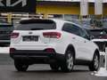 Kia Sorento 2,2 CRDi ISG AWD Österreich Edition Aut. Weiß - thumbnail 5