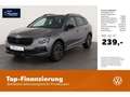 Skoda Kamiq 1.0 TSI Selection DSG AHK/Matrix/NAV/Kessy Grau - thumbnail 1