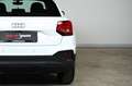 Audi Q2 30 TFSI | TRAUM-SUV | LED | Assistenz | Parksen Weiß - thumbnail 13