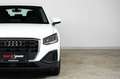 Audi Q2 30 TFSI | TRAUM-SUV | LED | Assistenz | Parksen Weiß - thumbnail 10