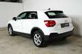 Audi Q2 30 TFSI | TRAUM-SUV | LED | Assistenz | Parksen Weiß - thumbnail 7