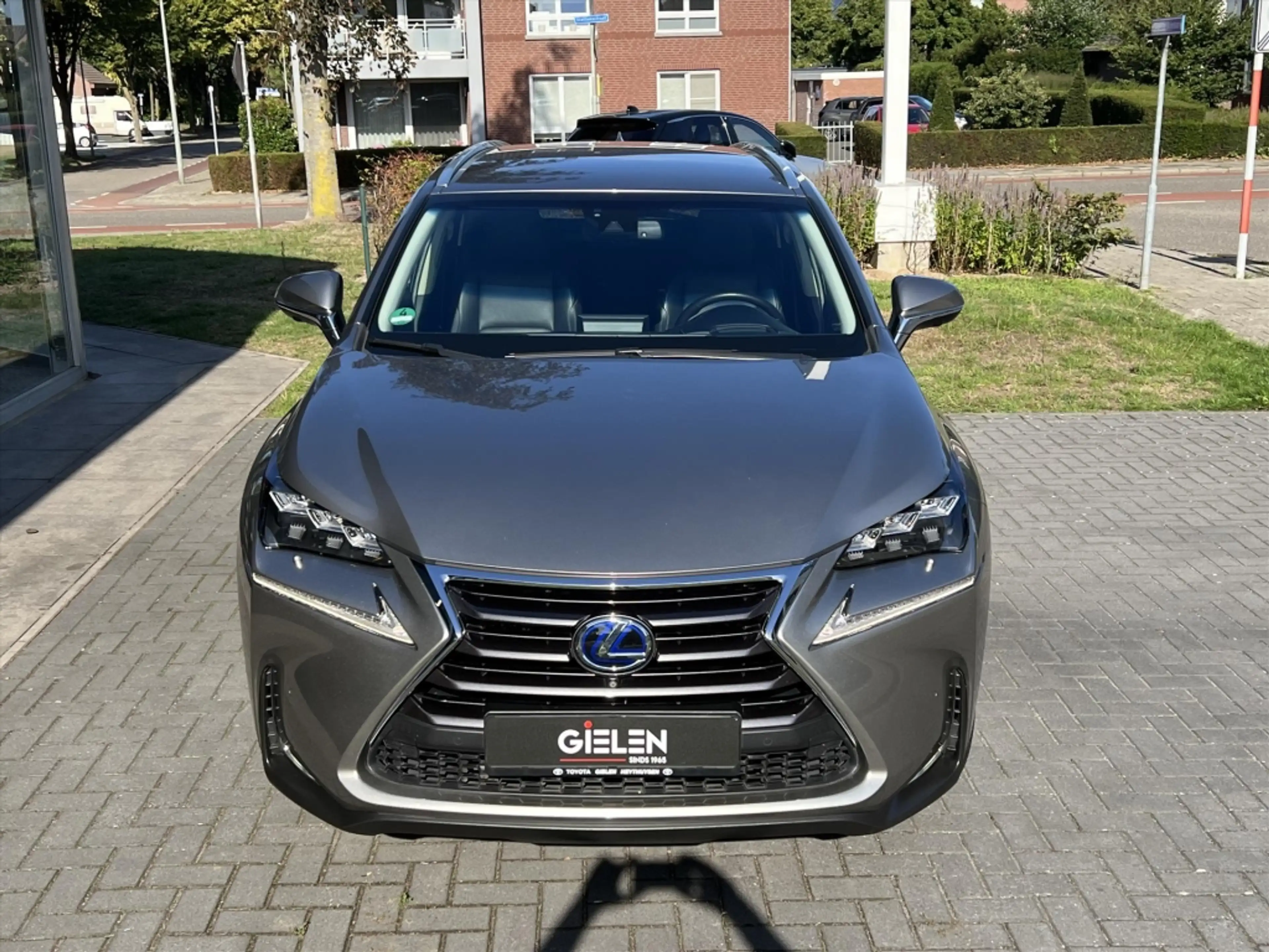 Lexus NX 300h AWD President Line | Mark Levinson, Head up displa — photo 12