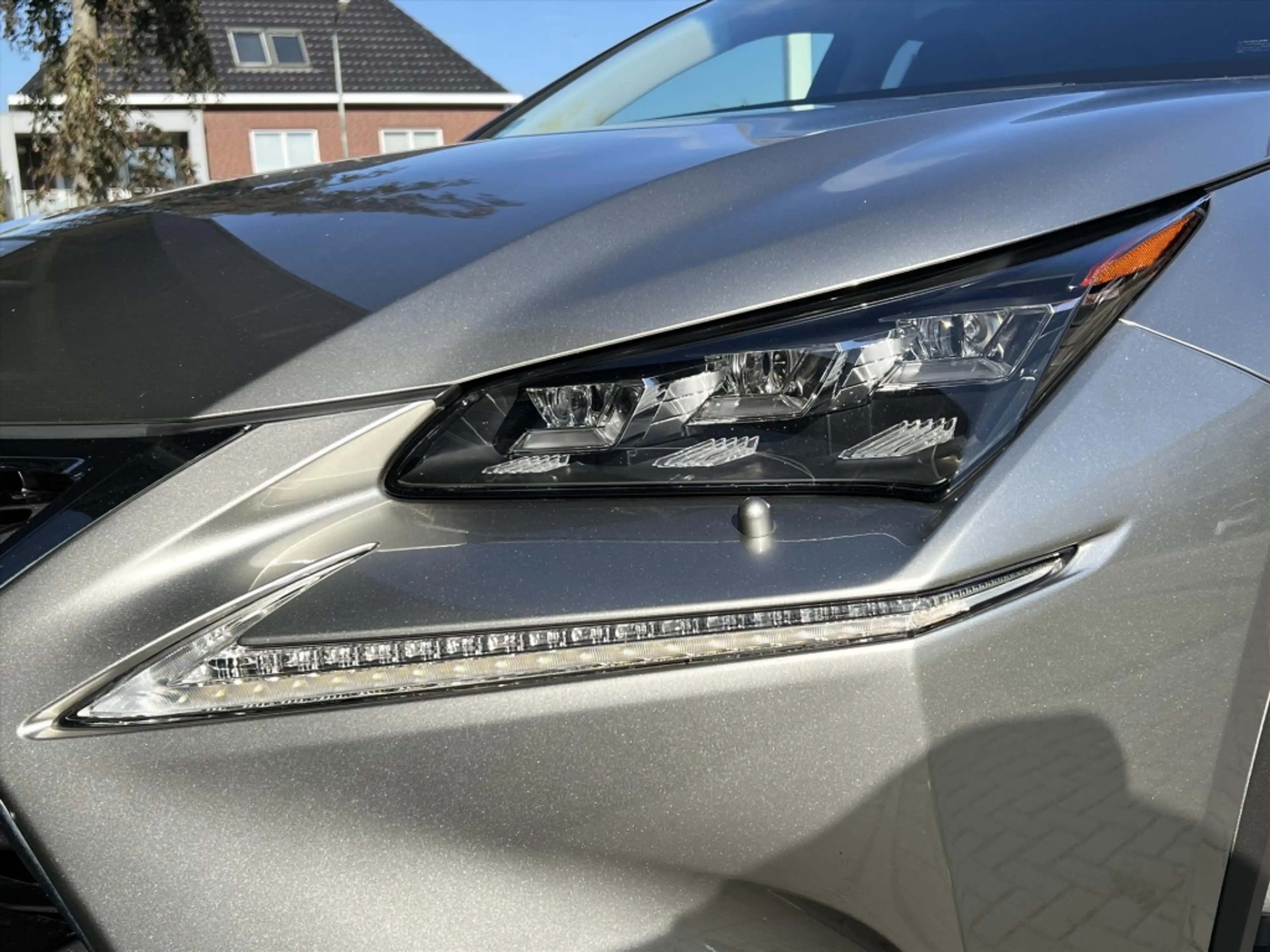 Lexus NX 300h AWD President Line | Mark Levinson, Head up displa — photo 13