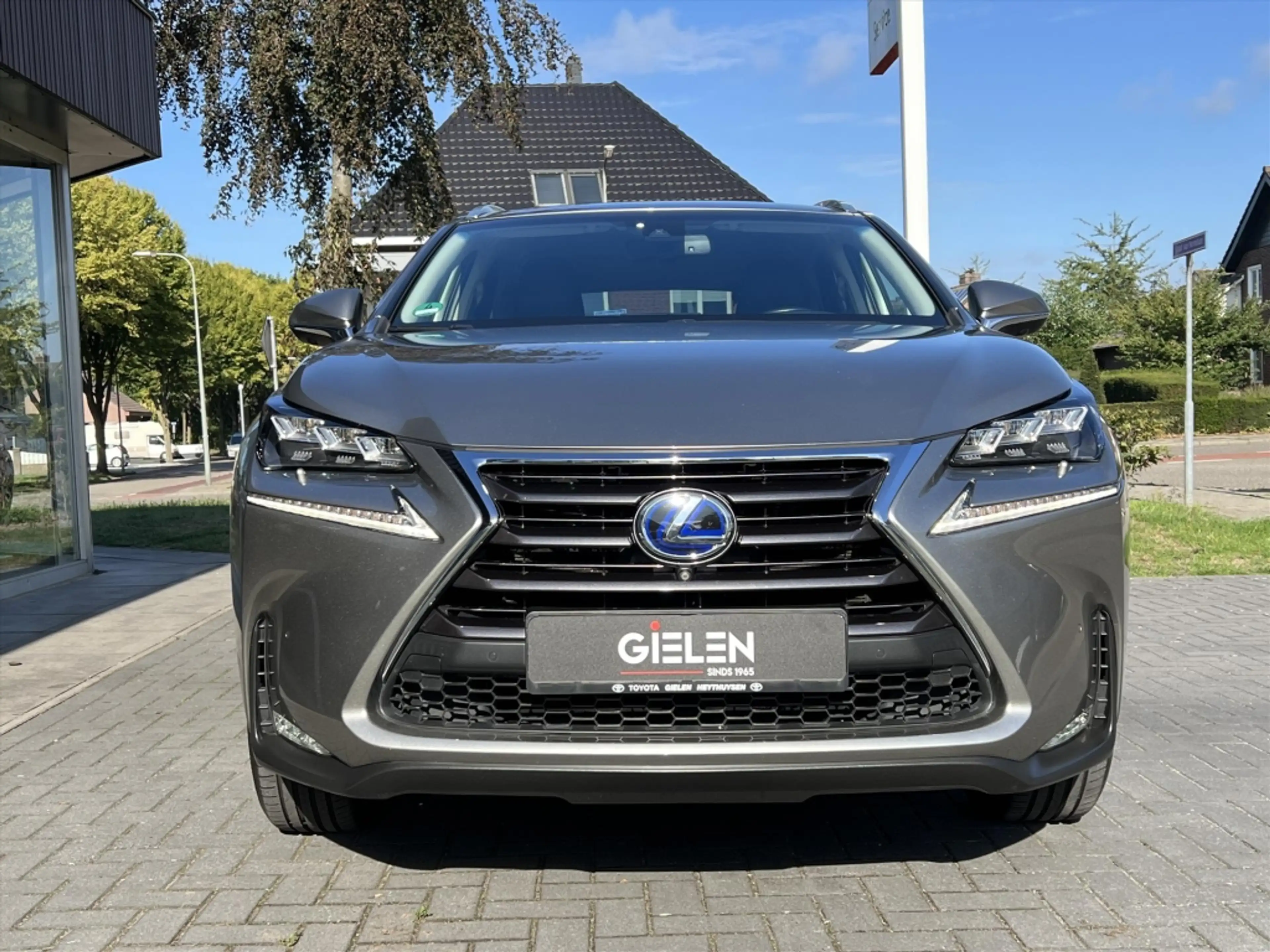Lexus NX 300h AWD President Line | Mark Levinson, Head up displa — photo 14