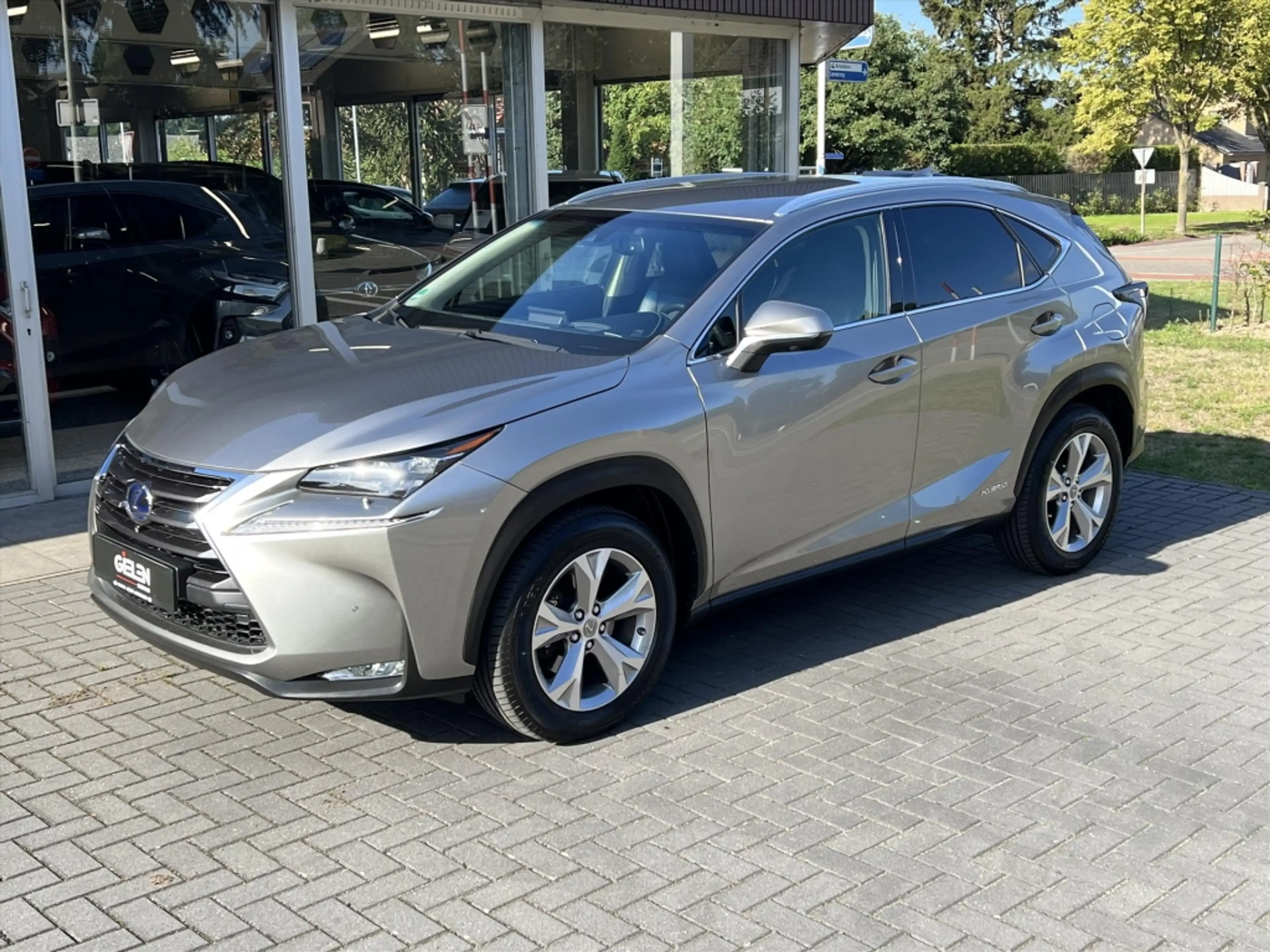 Lexus NX 300h AWD President Line | Mark Levinson, Head up displa — photo 10
