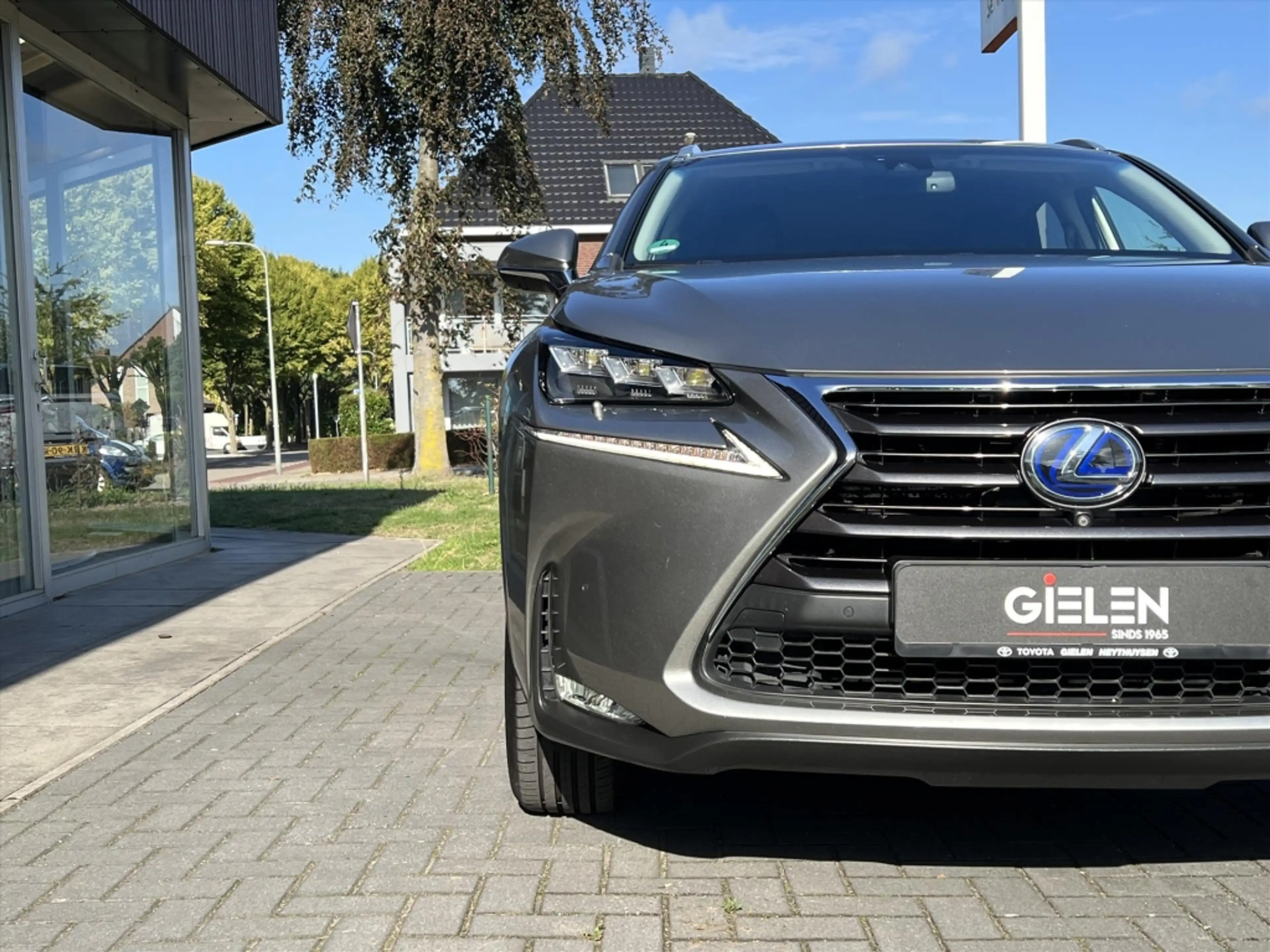 Lexus NX 300h AWD President Line | Mark Levinson, Head up displa — photo 6