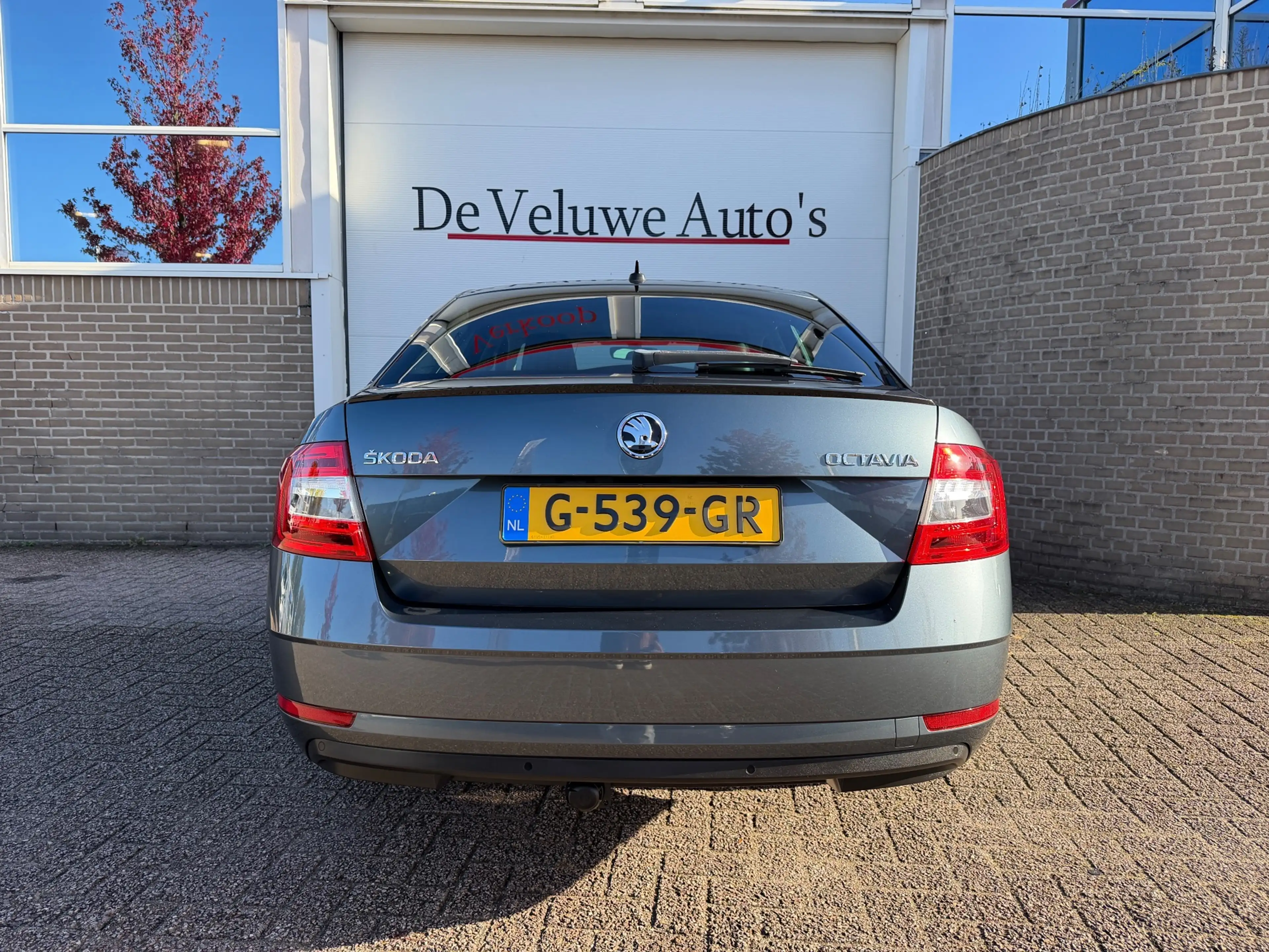 Skoda Octavia 1.5 TSI Greentech Business|Trekhaak|DSG|1e eig — photo 7