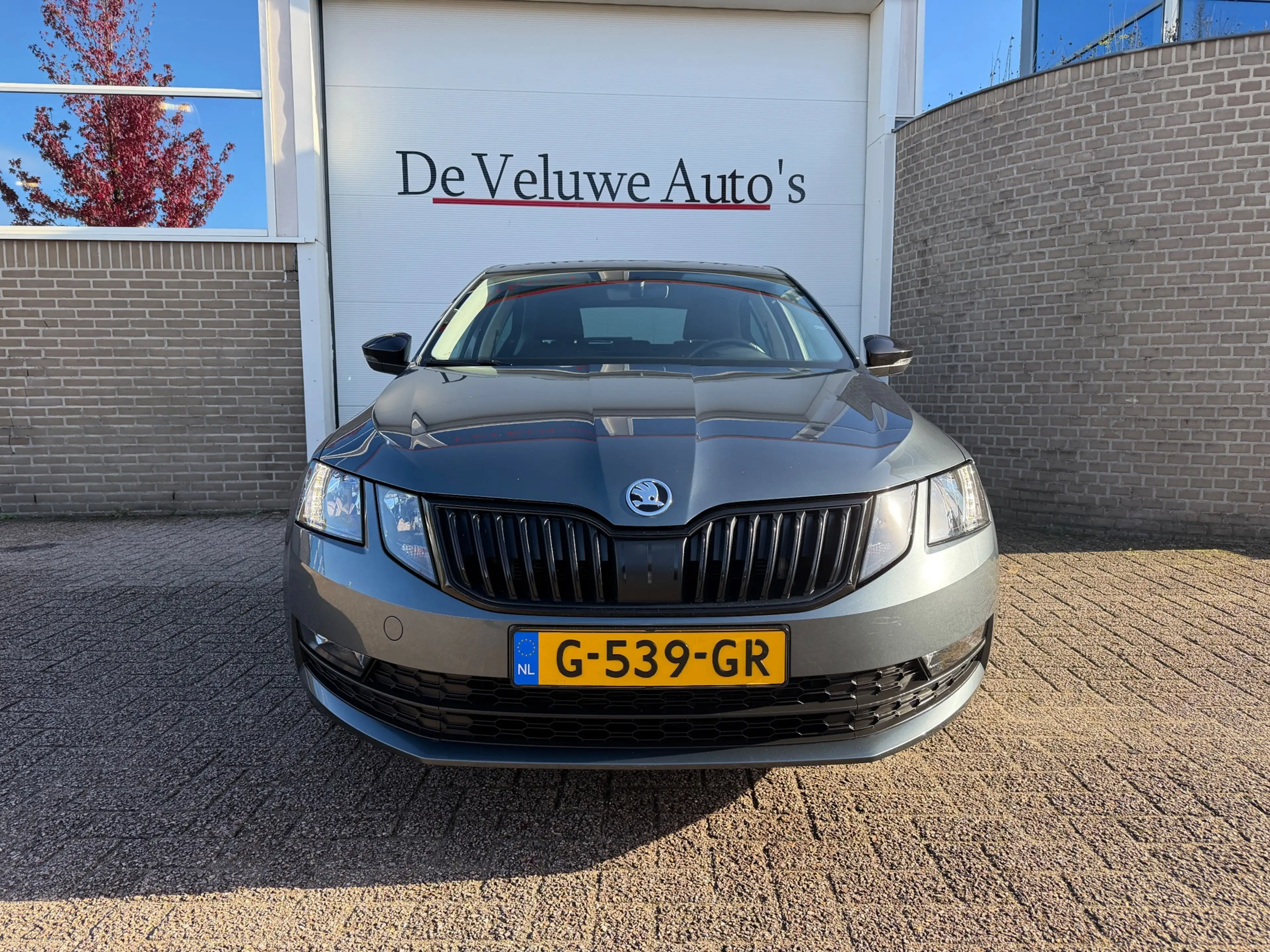 Skoda Octavia 1.5 TSI Greentech Business|Trekhaak|DSG|1e eig — photo 6