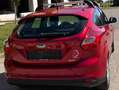 Ford Focus Focus Traveller Trend 1,6 TDCi DPF Trend Rot - thumbnail 3
