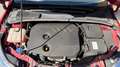 Ford Focus Focus Traveller Trend 1,6 TDCi DPF Trend Rot - thumbnail 5