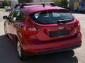 Ford Focus Focus Traveller Trend 1,6 TDCi DPF Trend Rot - thumbnail 4